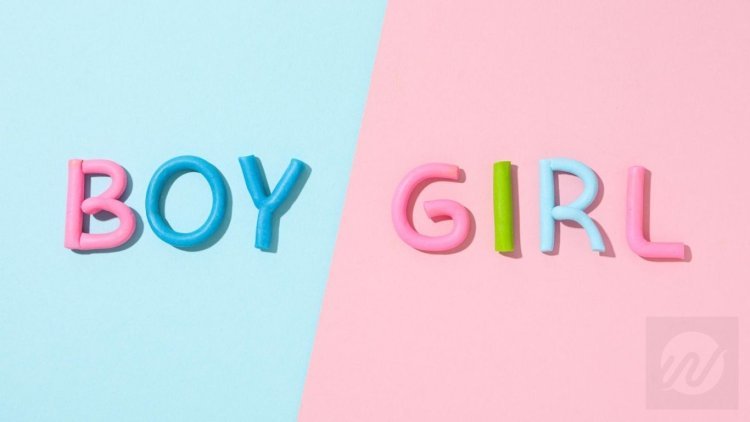 8 Best Gender Reveal Ideas for ‘Gender-Reveal’ Party