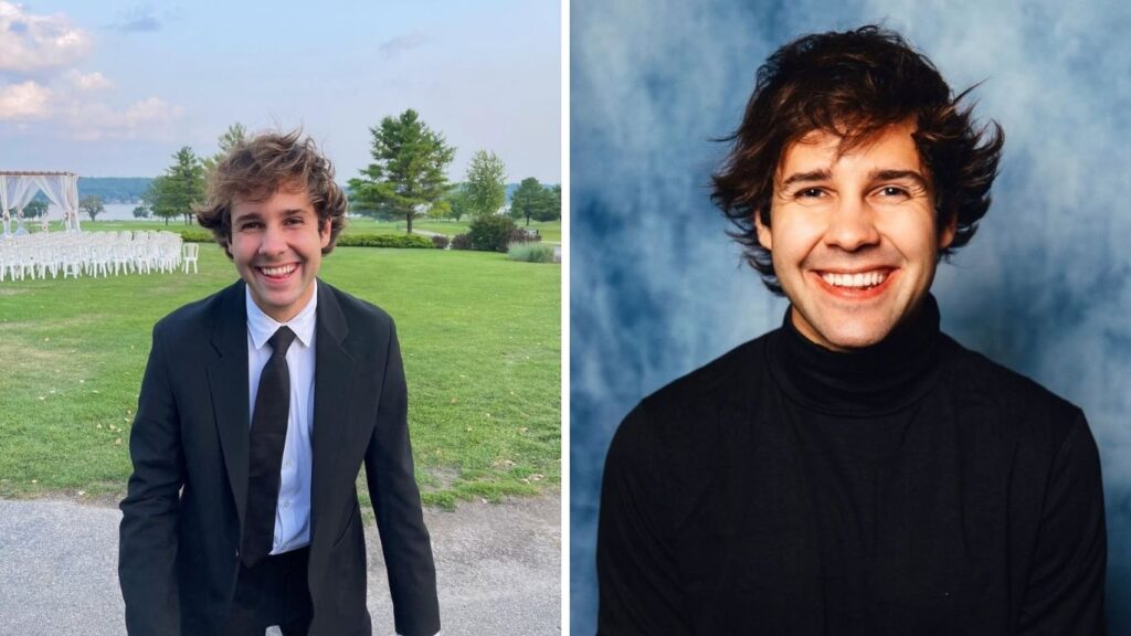David Dobrik Net Worth