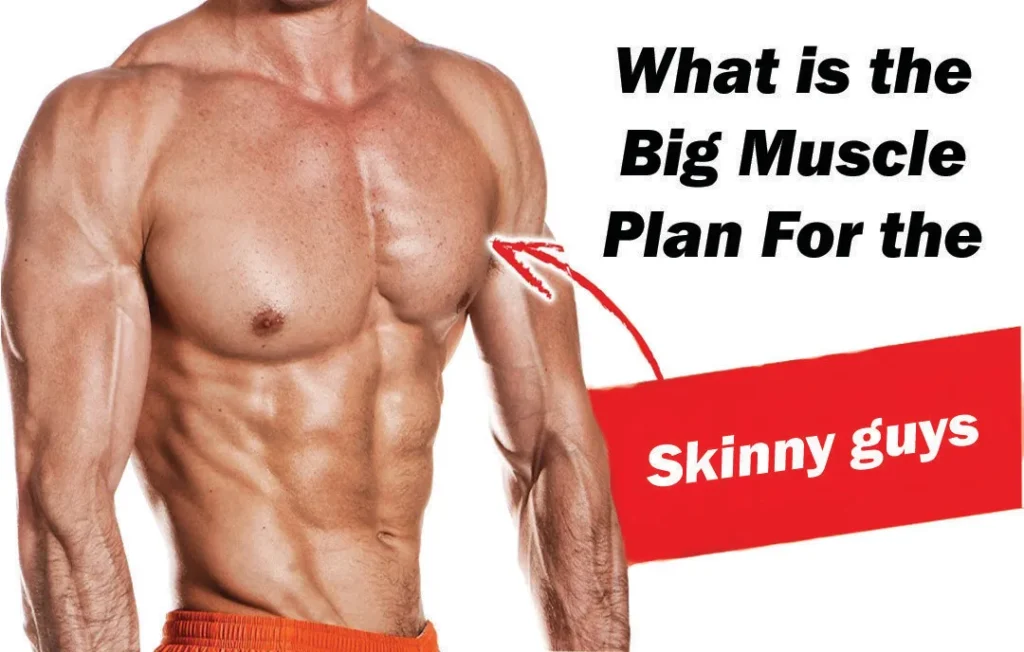 Big muscle plan