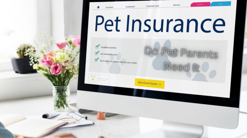 Pet Insurance