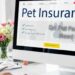 Pet Insurance