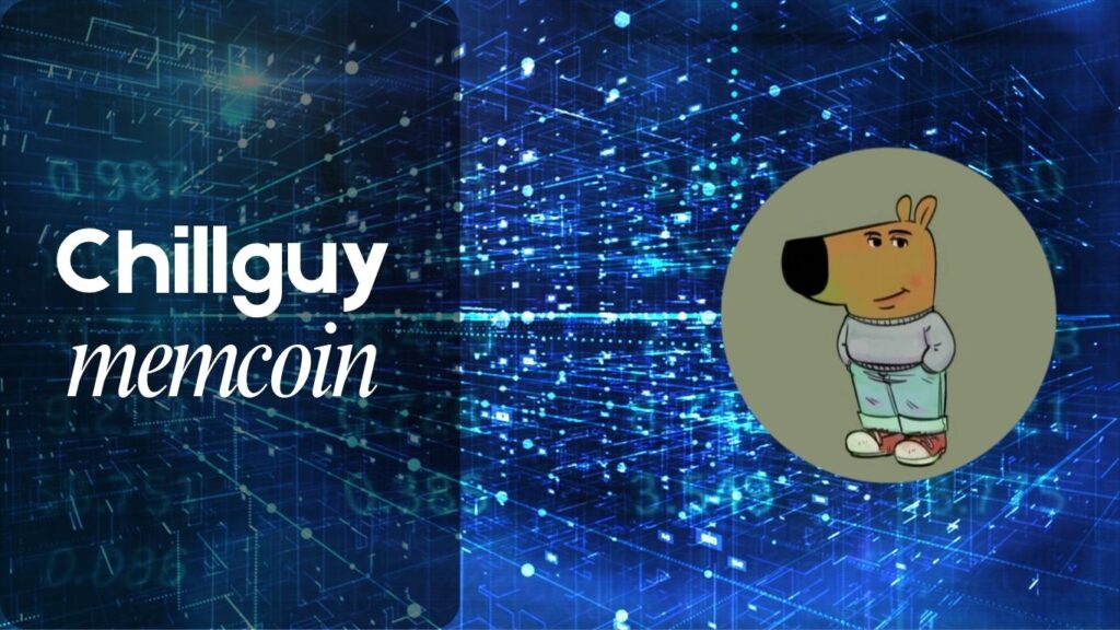 Chill Guy Meme Coin