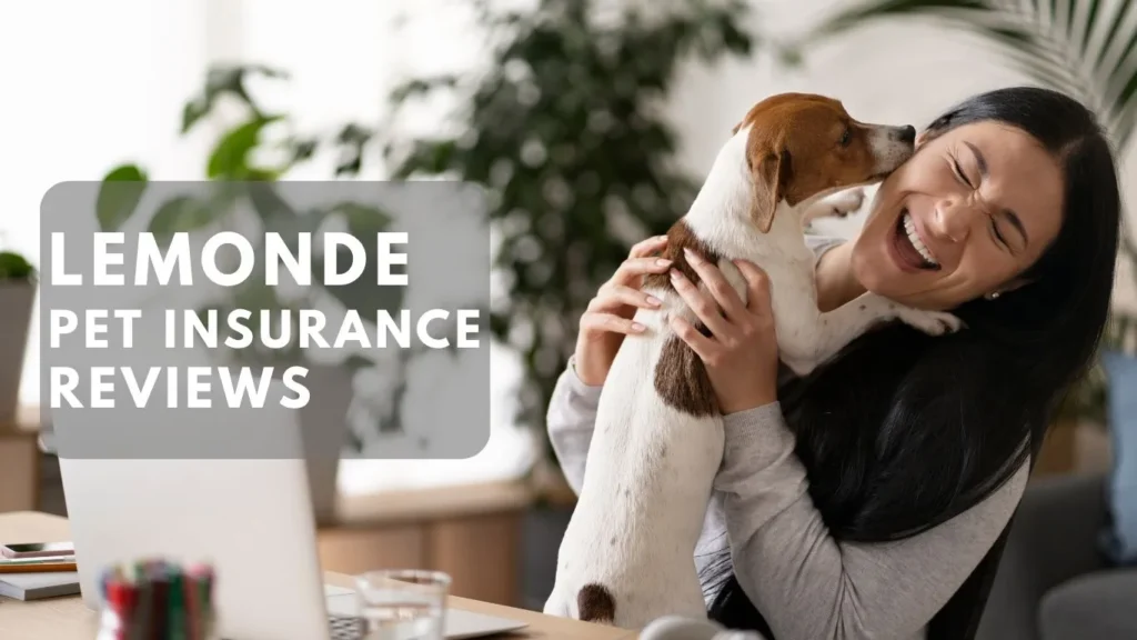 Lemonade Pet Insurance Review