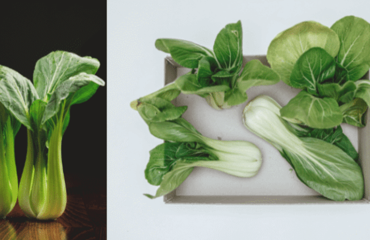 Yalla Choy" in bold, playful typography against a bright background, representing its fun and viral nature