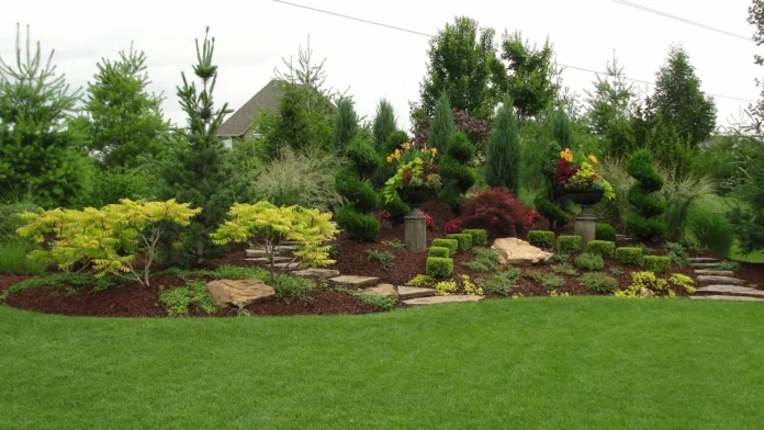 Landscaping