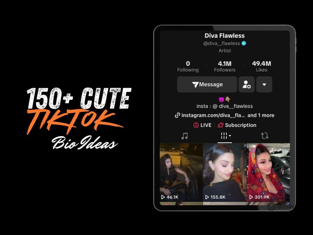 TikTok Bio Ideas