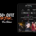 TikTok Bio Ideas